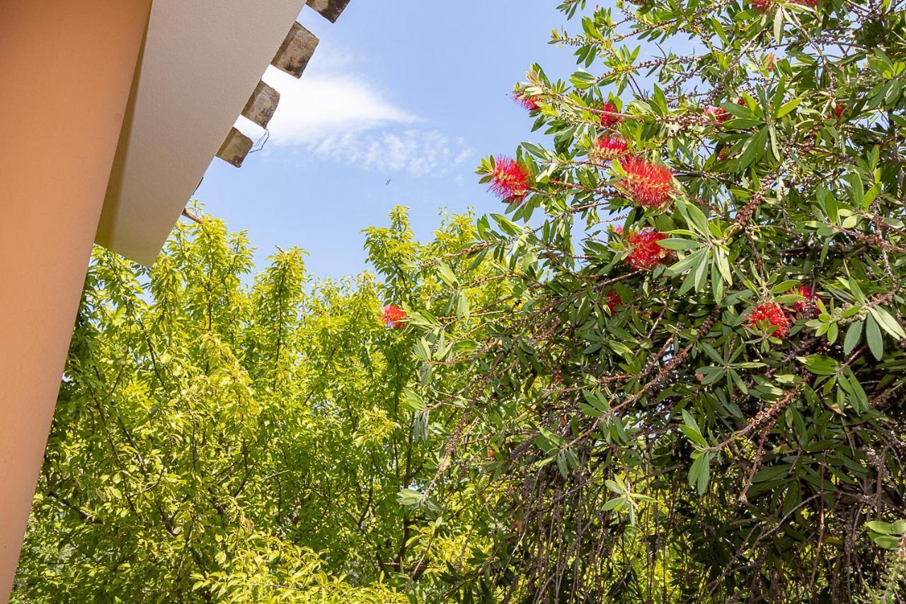 Villa Caterina La Maddalena  Ngoại thất bức ảnh